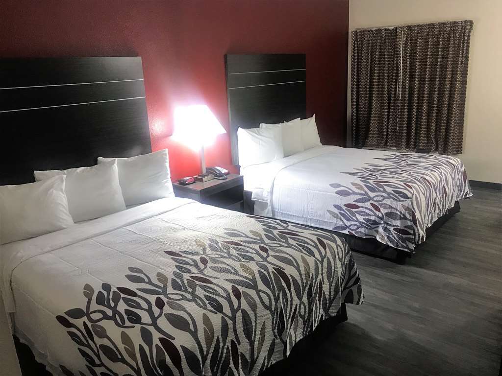 Red Roof Inn & Suites Austin East - Manor Phòng bức ảnh